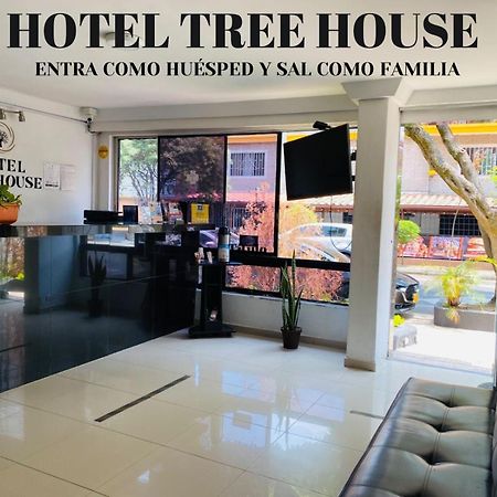 Ayenda Tree House Hotel Medellin Luaran gambar